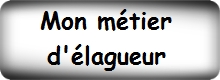 mon_metier_d'elagueur